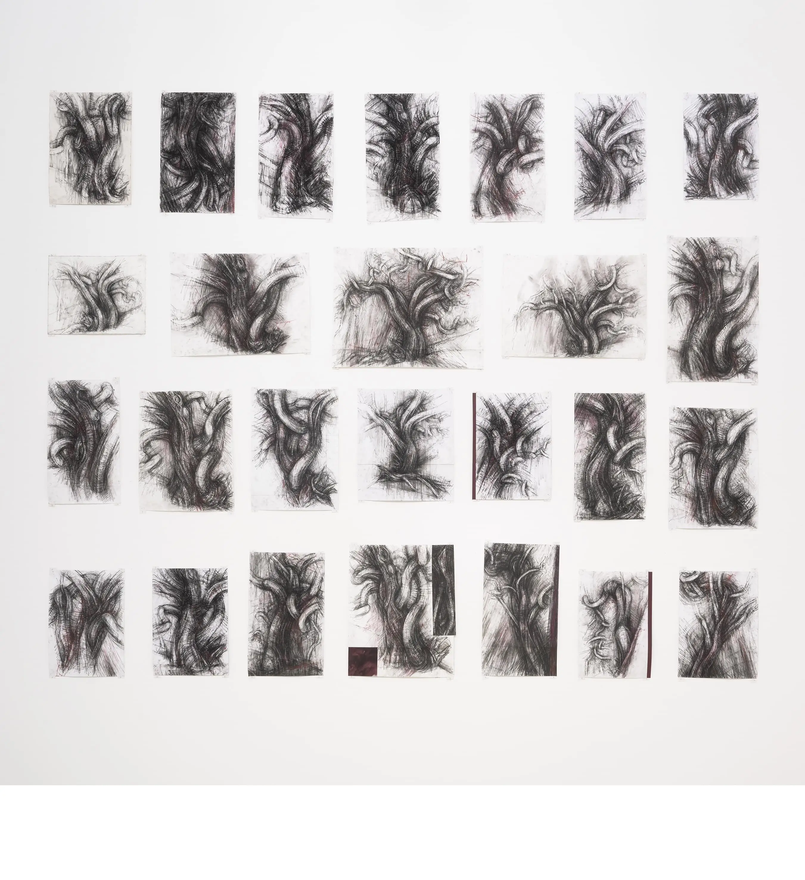 Tree studies TAC