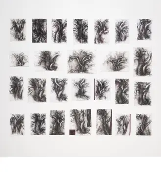 Tree studies TAC