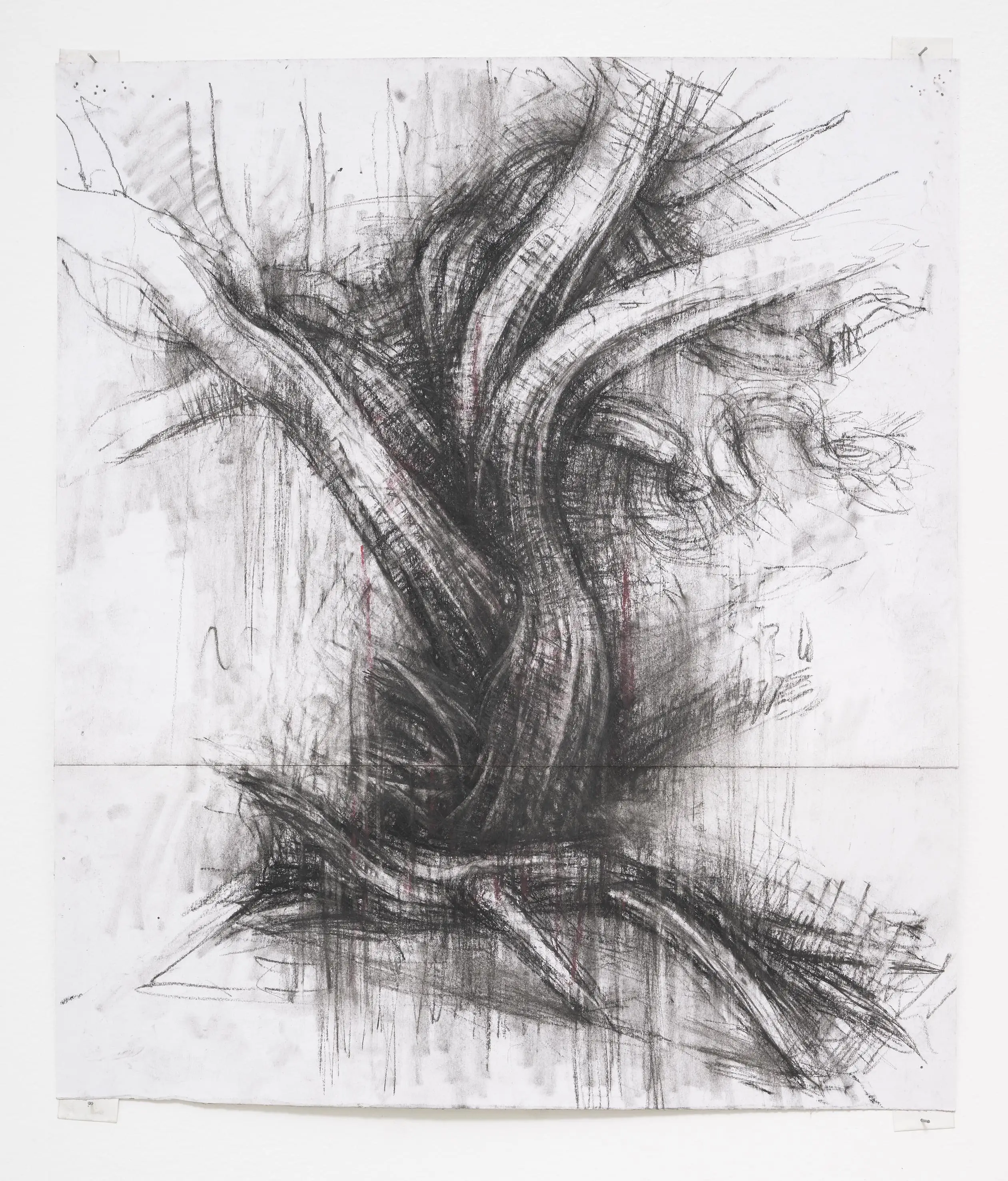 Tree study V