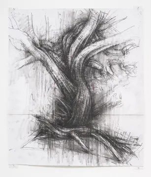 Tree study V